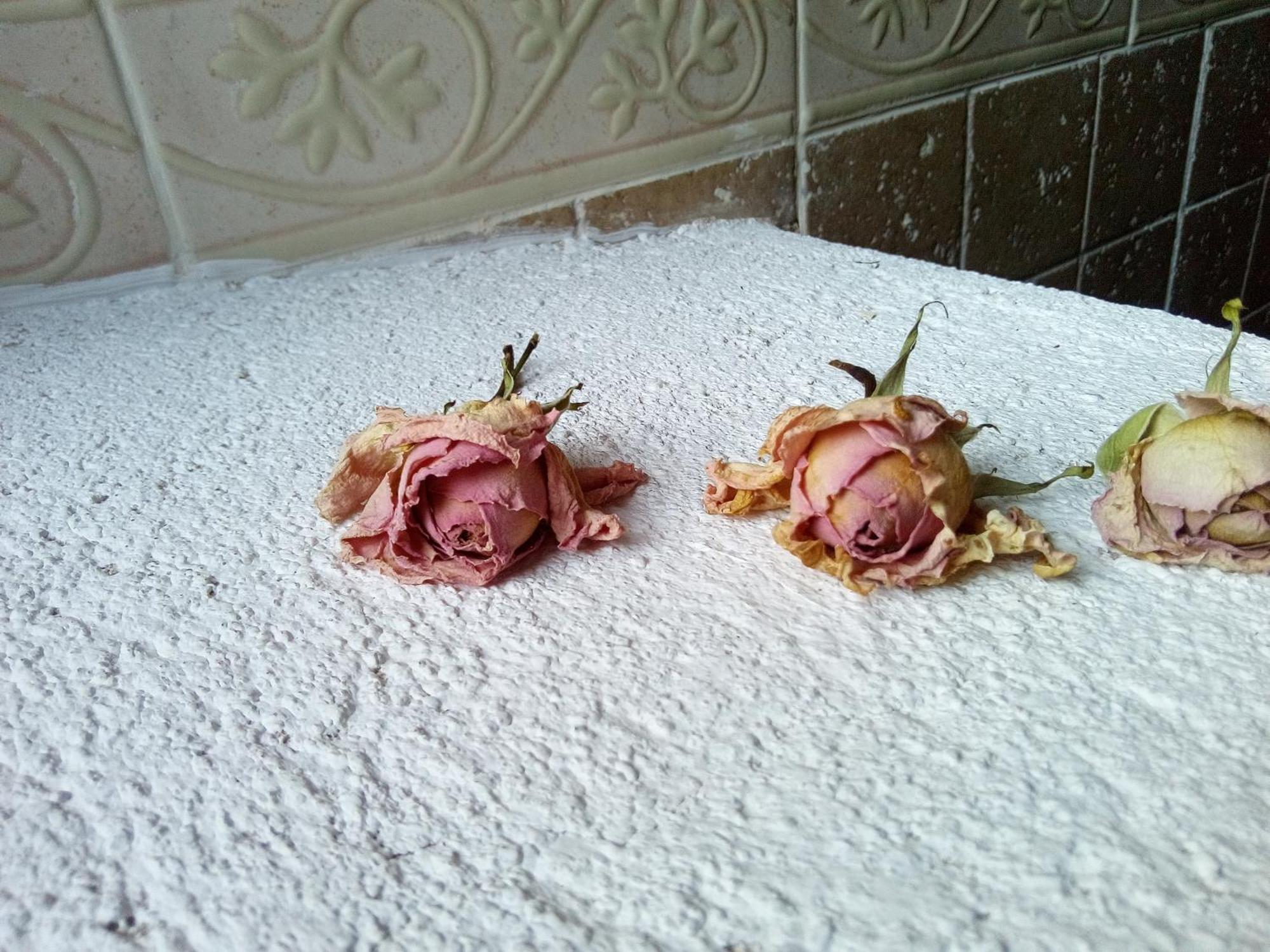 Posada Del Dulce Sueno Mojares المظهر الخارجي الصورة